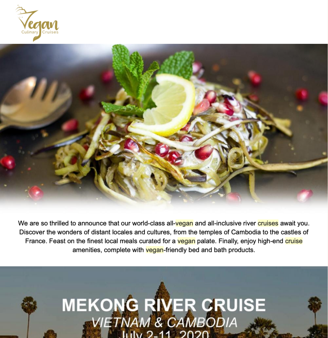 VCC Email Marketing SS